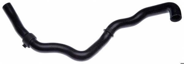 RAPRO R31126 | Radyatör Alt Hortumu S40 V40 98 >