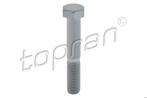 TOPRAN 504537 *10 | Civata BMW M12 1,5mm 71mm 18 Anahtar 6 Köse Universal | 10 Adet