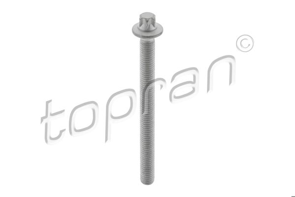 TOPRAN 505061 *10 | Enjektör Cıvatası (N47 (M8 X 1.25 X 91) BMW E60 E90 F10 F20 F22 F30 F34 F32 F36 G30 G20 F06 F12 F01 | 10 Adet