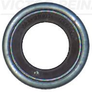 VİCTOR REİNZ 70-23982-00 *100 | Subap Lastiği-Ford Cargo / 1842-3542-4142 Euro 6 | 100 Adet