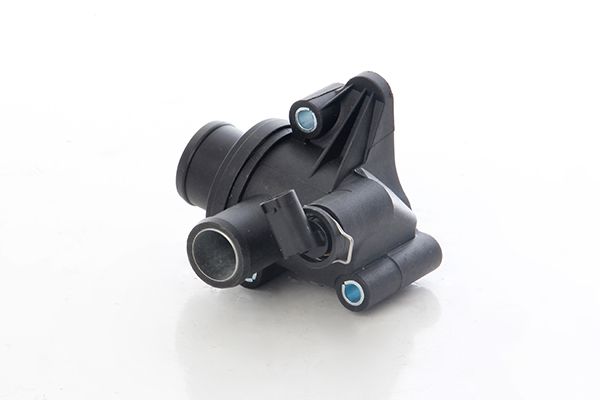 BSG 60-125-022 | Termostat