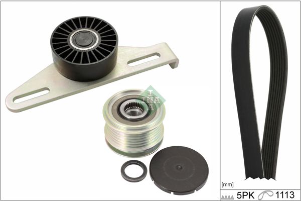 INA 529014520 | V Kayış Kit (V Kayış + Kütüklü Gergi Ve Sarj Dmo Rulmanı) Renault Kangoo Clio M