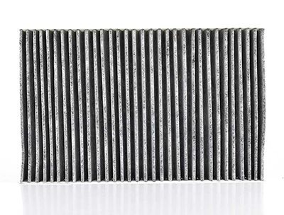 BSG 90-145-014 | Polen Filtresi E936lc-Lak 46 (Karbonlu)