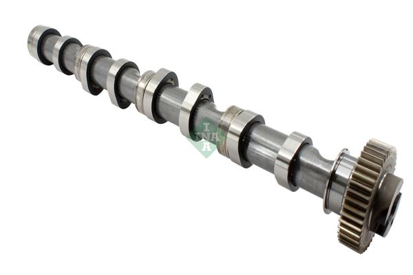 INA 428023910 | Eksantrik Mili Emme Egzoz-Itıcı-Pıyano Tusu Kit (Çelik) Transporter T6