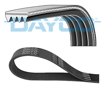 DAYCO 4PK1525EE | V Kayışı Audi
