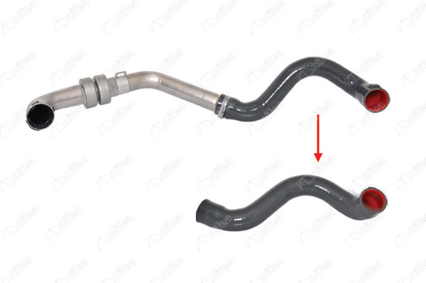NIFEA 11583 | Turbo Hortumu Metal Boru Hariç Megane II Scenic II 1.5 DCI K9K