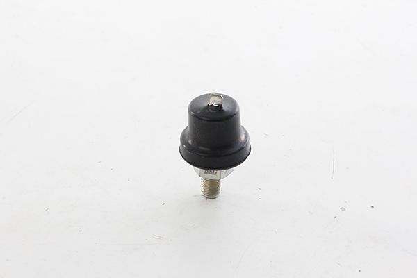 BSG 30-840-078 | Yağ Basınç Müşürü  Transit M12/M15 Bm 99-