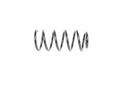 BSG 65-305-022 | Helezon Yayı Arka