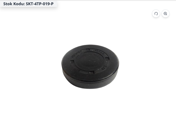 SKT 4TP-019-P | Renault Megane 2 2002-2009 Eksantrik Blok Keçesi Küçük