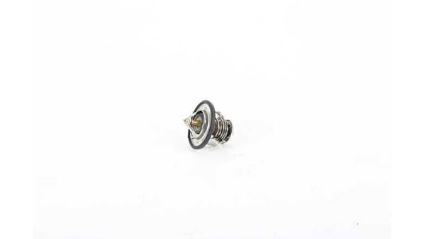 BSG 16-125-007 | Termostat Captiva A Antara Cruze Z20s 07 -