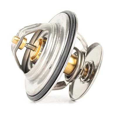 BSG 60-125-014 | Termostat