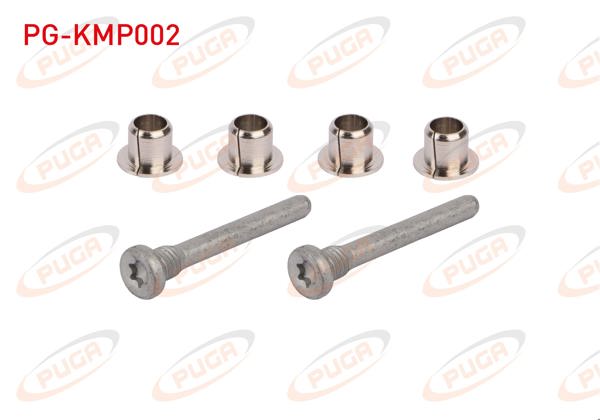 PUGA PG-KMP002 | Kapı Mentese Pımı Takım (Beyaz) Renault 9 | 5 Adet