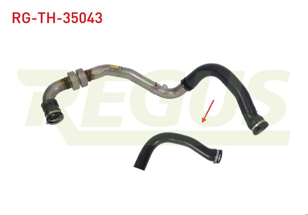 REGUS RG-TH-35043 | Turbo Hortumu Metal Borusuz Büyük Renault Laguna III Grandtour (Kt0 / 1) 1.5 DCI 2007 -