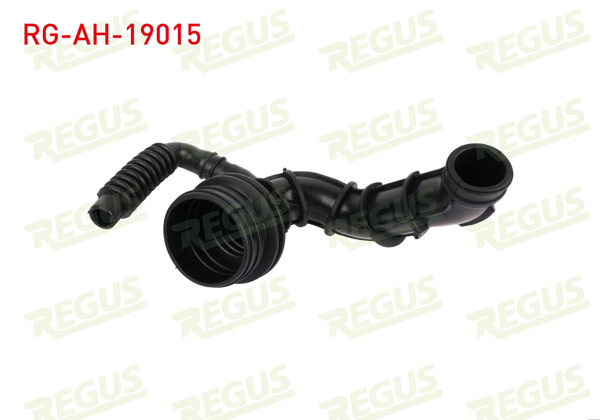 REGUS RG-AH-19015 | Hava Filtre Hortumu Transit T15 2.5