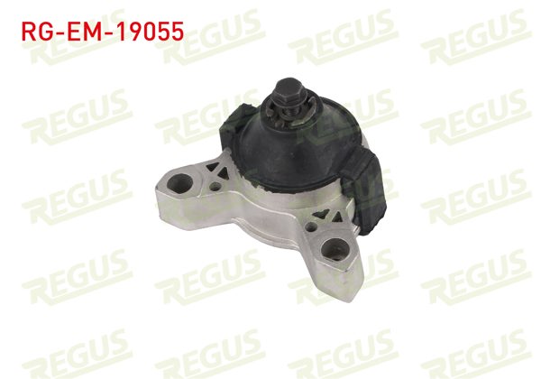 REGUS RG-EM-19055 | Motor Takozu Tek Ictekı Ford Transit Connect 2002-2014