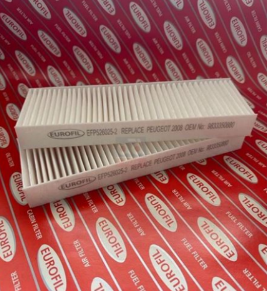 EUROFILTER EFP526025-2 | Polen Filtresi 20-Pt.208-2008-Ds3