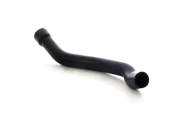 BSG 60-720-313 | Radyatör Hortumu Alt