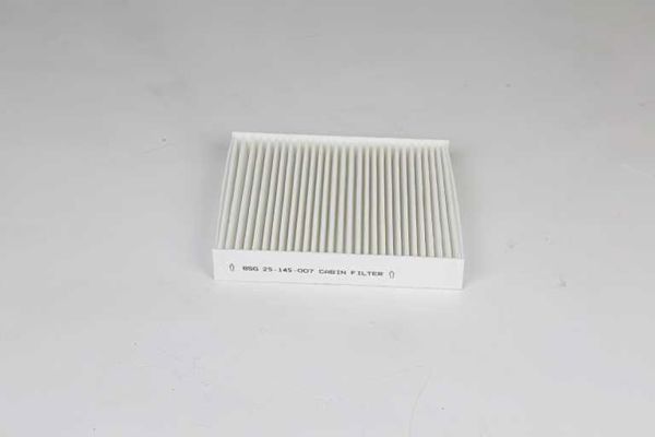 BSG 25-145-007 | Polen Filtresi 500 / Panda Bm 10 -