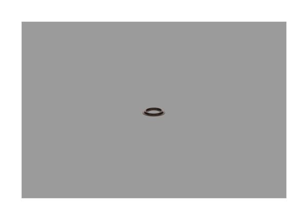 BOSCH 2430190002 | Isi Kalkani-Enj. Memesi