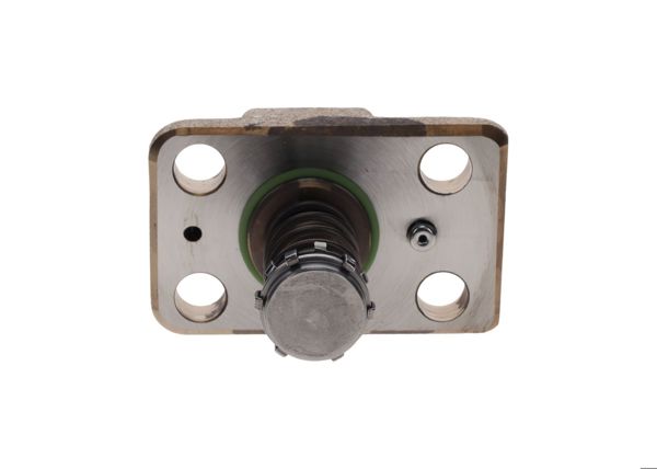 BOSCH F01M100869 | Silindir Kafasi