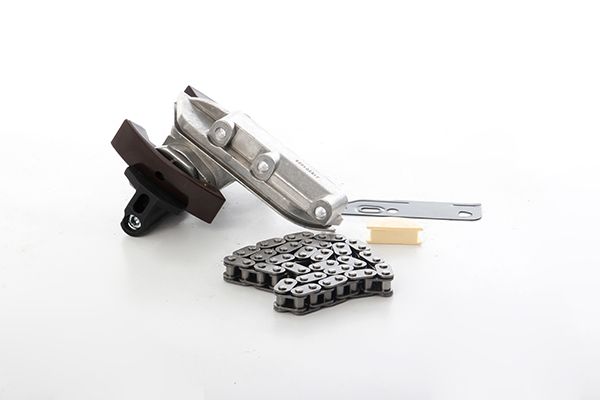 BSG 90-102-006 | Eksantrik Zincir Seti Passat-Golf4-Bora-A4-A6 Adr-Aeb-Agu-Apu 1.8 T 97-04