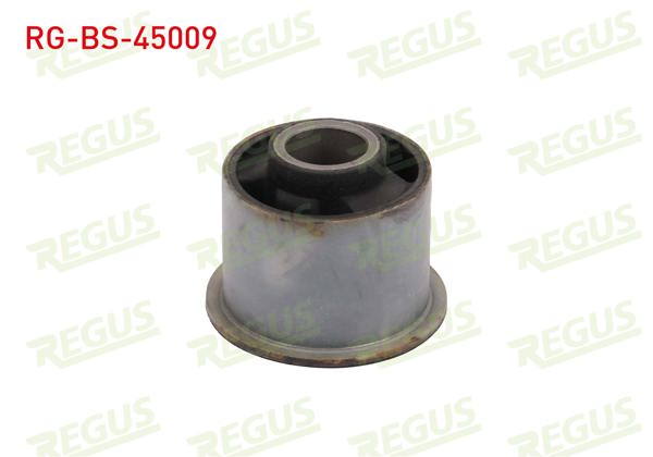 REGUS RG-BS-45009 | Denge Kol Burcu Arka Sol-Sağ Volvo S60 I 2.0 T 2000-2010