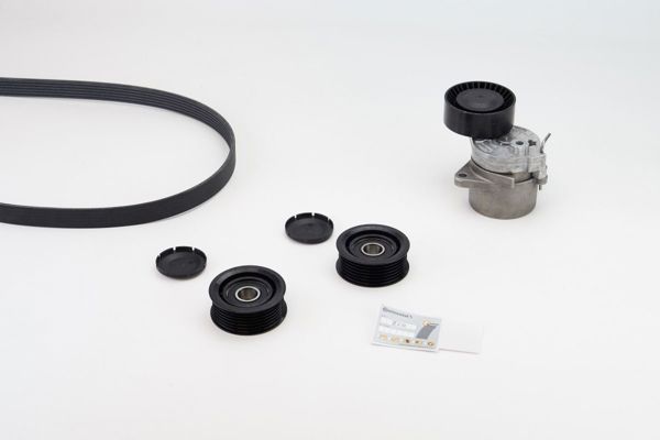 CONTINENTAL CTAM 6PK2260K1 | Kanallı V Kayış Seti