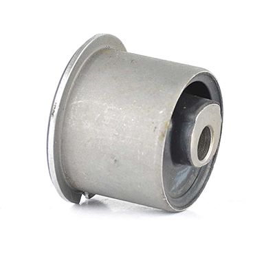 BSG 90-700-111 | Salıncak Burcu Ön 38811 / 30891 01 (Alt)