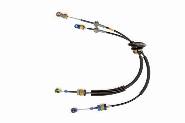 CAVO 6014725 | Vites Teli Citroen Ds4 6 Vites Ml6c Sanzıamn 20Hdı 11-(İkili)