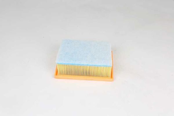 BSG 25-135-019 | Hava Filtresi