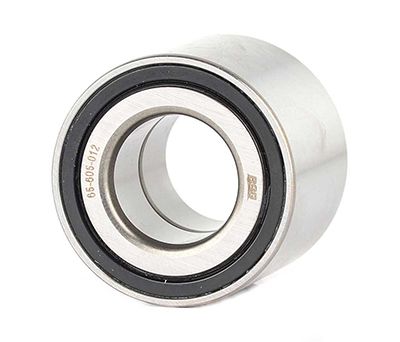 BSG 65-605-012 | Porya Rulmanı Arka Kampana 53X27 mm-Poryasız