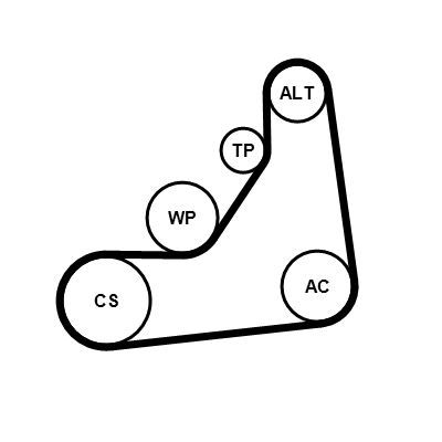 CONTINENTAL CTAM 6PK1153K5 | Kanallı V Kayışı