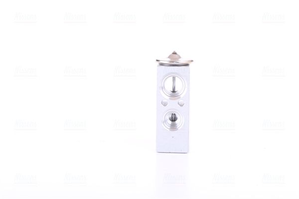 NISSENS 999351 | Genleşme Valfi Renault Clio 05 -