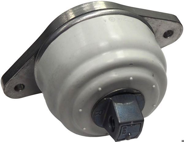 CORTECO 49115920 | Motor Kulağı W221 M278 S500 4-Matic Sağ